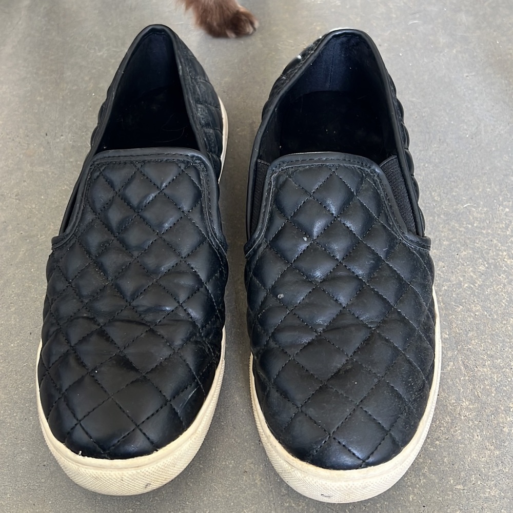 Steve Madden slip ons
